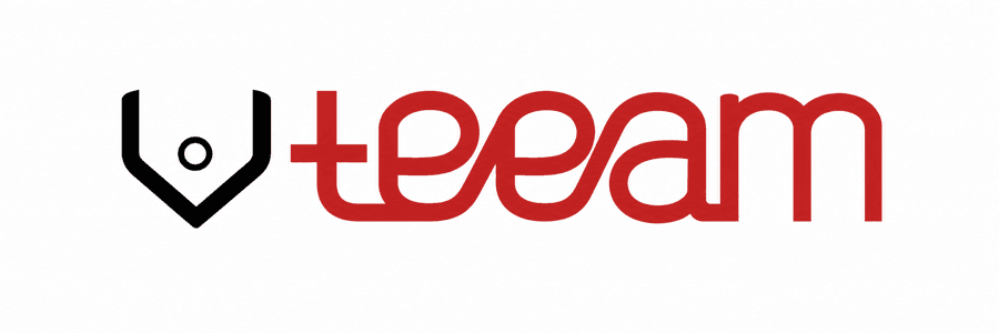 VTEAM